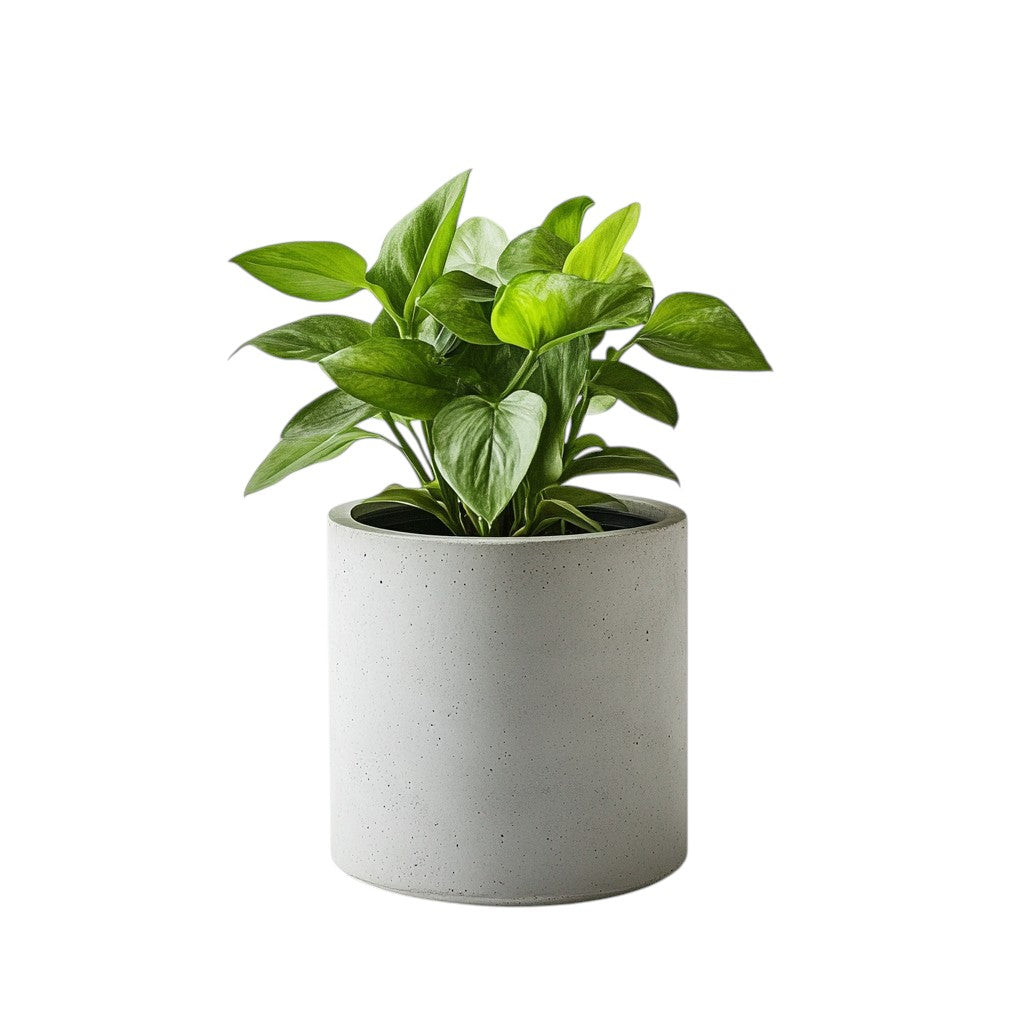 Mvdxj Self-Watering Planter - Modern Concrete-Style Plant Pot for Indoor Plants - Breathable & Overflow Protection - Home Office Decor