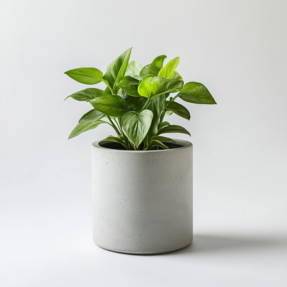 Mvdxj Self-Watering Planter - Modern Concrete-Style Plant Pot for Indoor Plants - Breathable & Overflow Protection - Home Office Decor