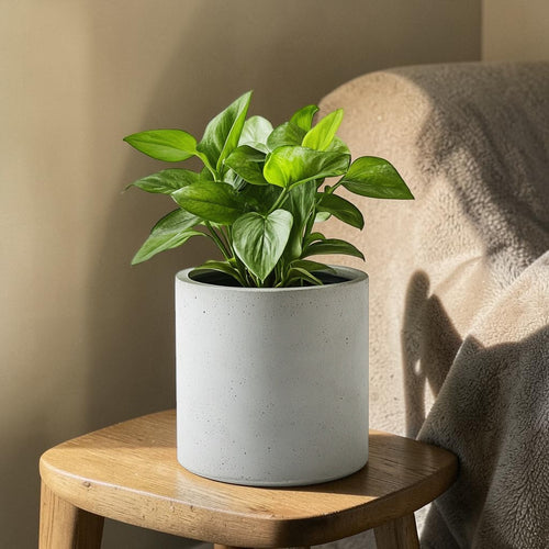 Mvdxj Self-Watering Planter - Modern Concrete-Style Plant Pot for Indoor Plants - Breathable & Overflow Protection - Home Office Decor