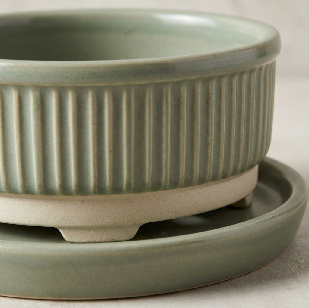 Mvdxj Ribbed Stoneware Planter with Saucer Sage - Detail view