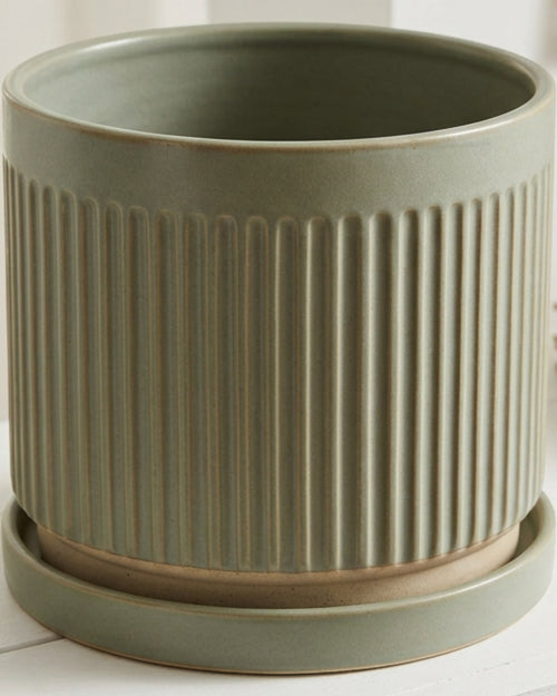 Mvdxj Ribbed Stoneware Planter with Saucer Sage - Lifestyle view
